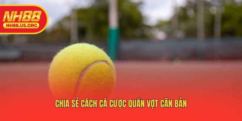 Chia sẻ cách cá cược quần vợt căn bản